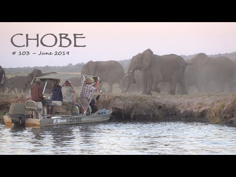 Video: Chobe-Nationalpark: Der vollständige Leitfaden