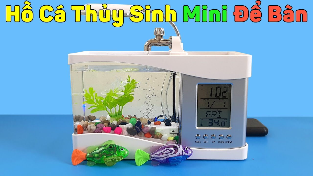 ⁣Hồ Cá Thủy Sinh Mini Để Bàn Tuyệt Đẹp, Kèm Máy Lọc Nước | Mở Hộp Hàng Mua Online Trên Shopee