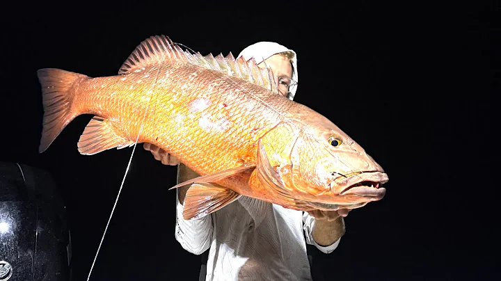 Catching GIANT Cubera Snapper on a 19FT BOAT!