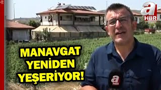 Manavgat Yangının Üzerinden Dört Yıl Geçti Küle Dönen Ormanlar Yeniden Yeşerdi... A Haber