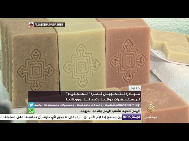ماذا تعرف عن ثمرة "الهجليج"