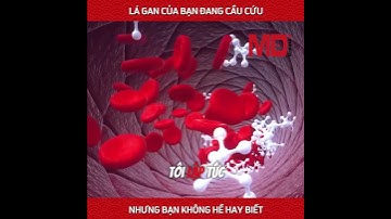 Bí mật bên trong lá gan và những điều bạn cần làm để giữ nó khỏe mạnh! #lagan #gan