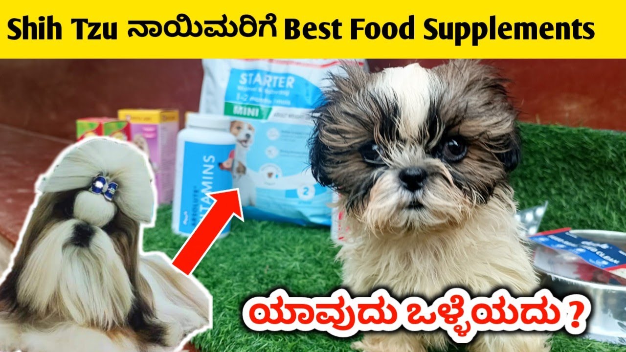 Shih Tzu ನಾಯಿಮರಿಗೆ Best Food Supplements Food Supplements Toy For My