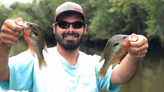 Catching fish in the Ogeechee River (Southeast Georgia)