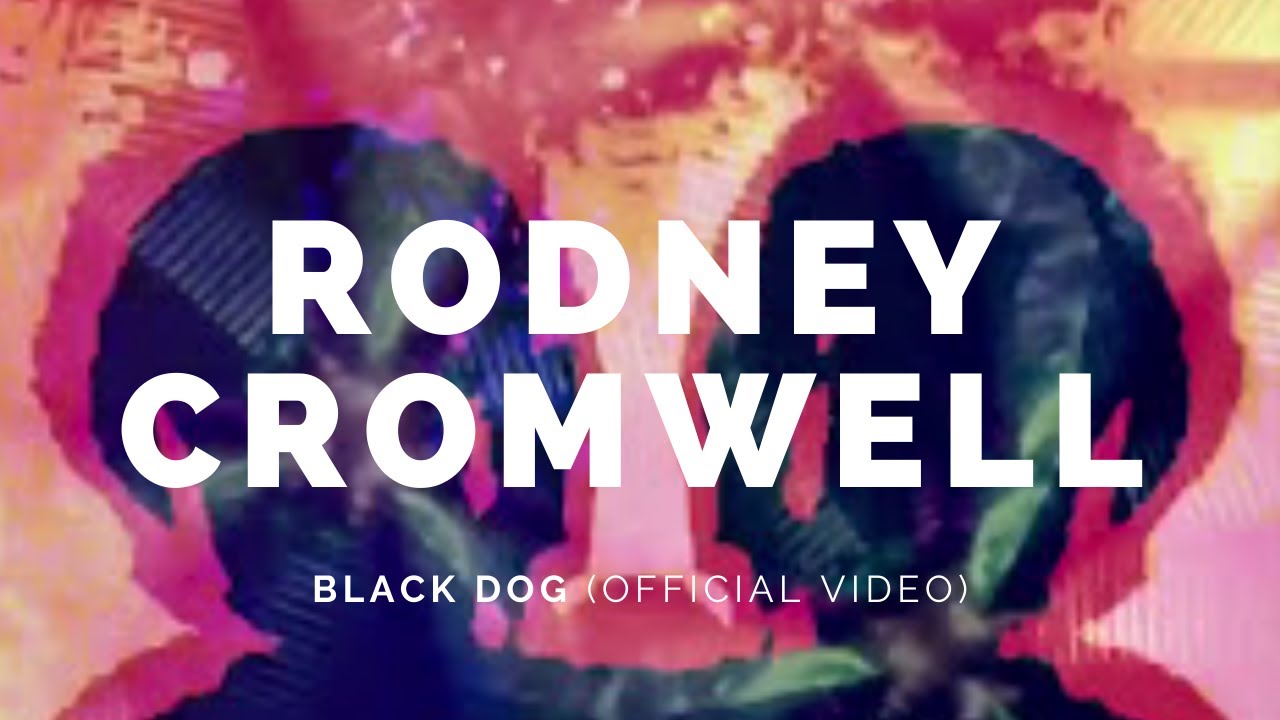 RODNEY CROMWELL: Black Dog (Version) (Bot6v1)