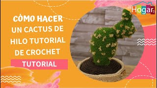 Como hacer un cactus de hilo tutorial de crochet - HogarTv producido por Juan Gonzalo Angel Restrepo