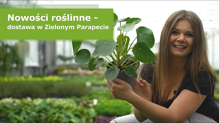 Ogromna dostawa egzotycznych roślin w Zielonym Parapecie. 🌴  Hoje opanowały nasz magazyn. 😍