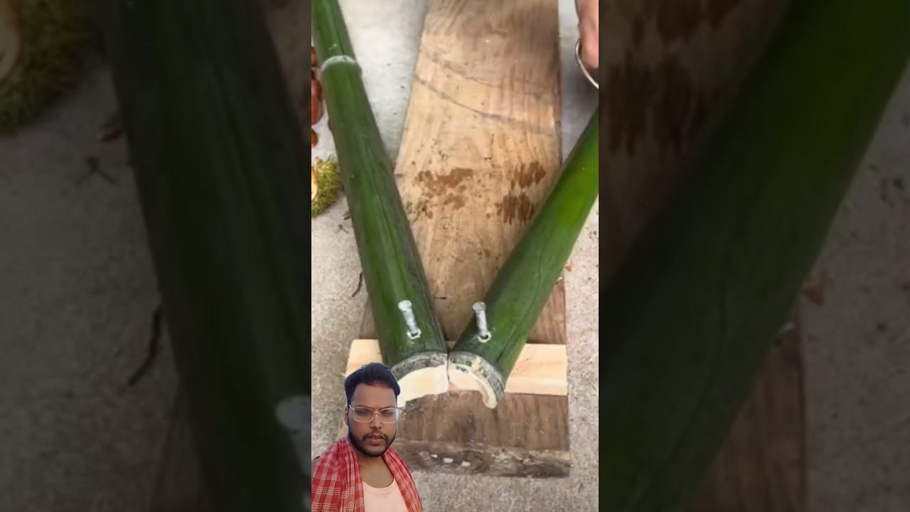 DIY Bamboo Seed Extraction Hack: Genius Boy Builds Incredible Wooden Machine for  Vegetable Seeds!