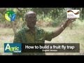 How to build a fruit fly trap (Engl.)