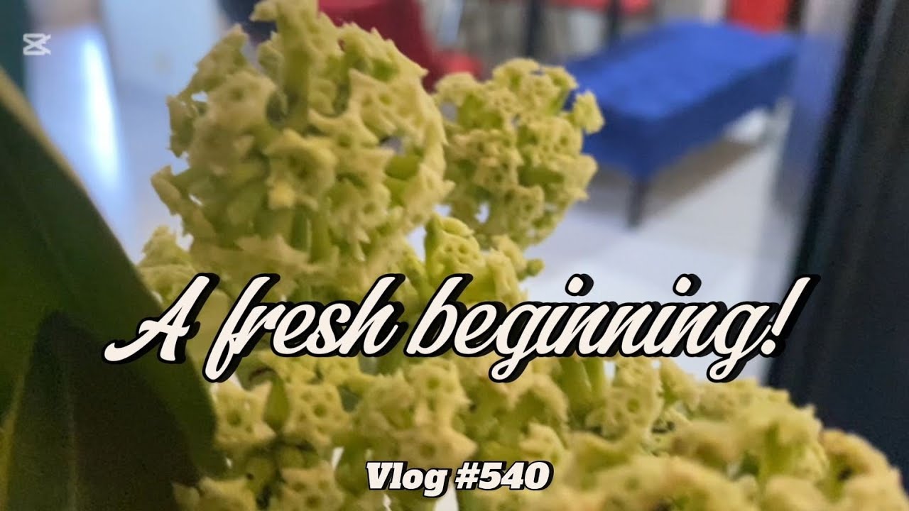 A FRESH BEGINNING! | VLOG #540 | BINISH RIZWAN! - YouTube