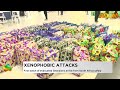 Xenophobic Attacks: First batch of evacuated Ghanaians arrive from South Africa safely - News