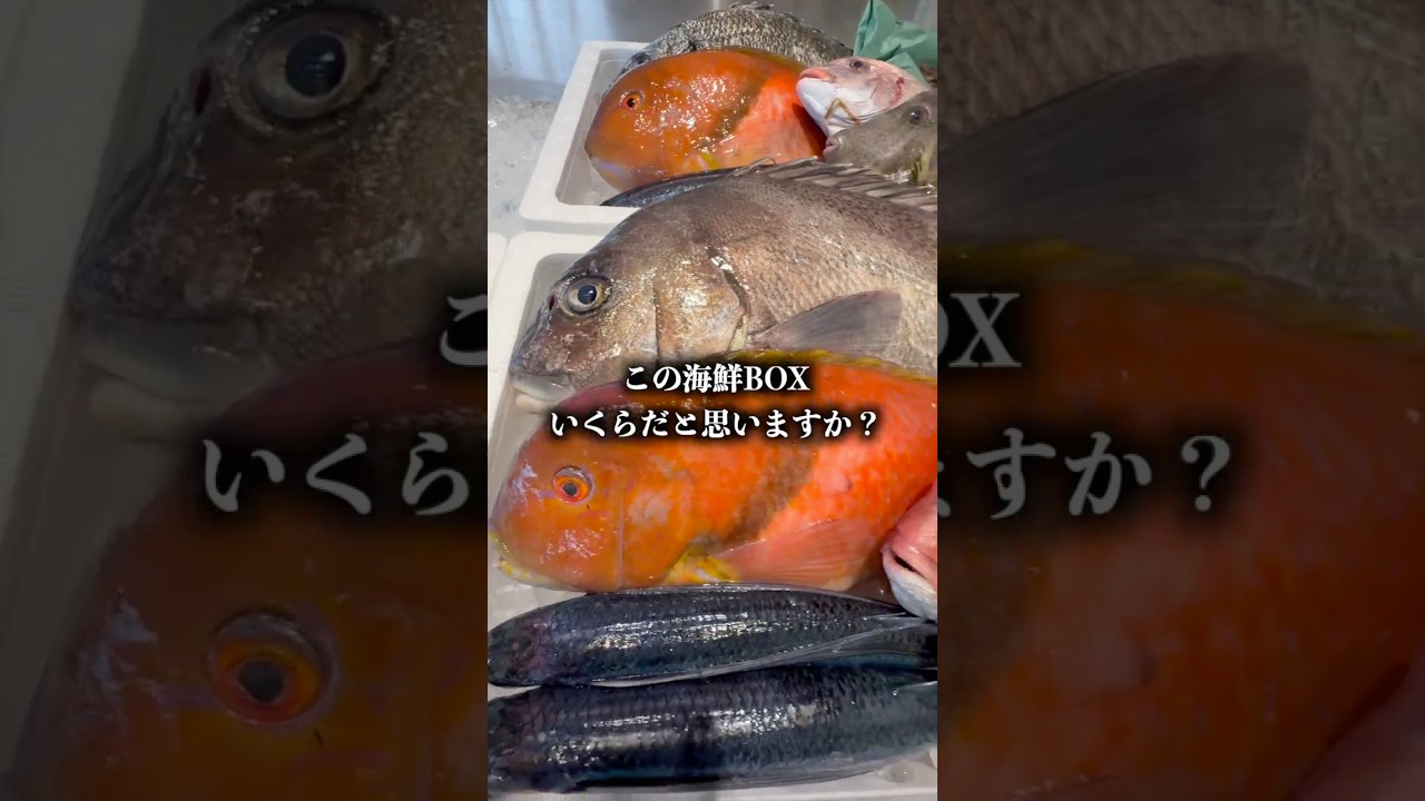 この魚いくらなら買いますか？
