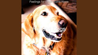 Simplistic Ambience for Training Your Dog