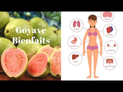Vidéo: Goyave - Un Superfruit Pour L'hypertension