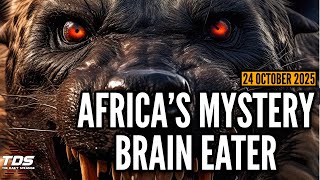 The Brain Eater of Africa: Hunting the Nandi Bear Cryptid THE DAILY STRANGE Episode 24