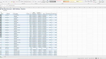 CPR Ledger By Plant Account OpenPoint Report