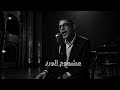 مشموم الورد 