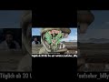 😱 FALLOUT DAY 2025 REACTION 😱 FALLOUT 76 DEUTSCH #fallou76 #falloutday #reaction