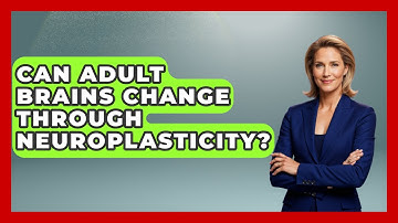 Can Adult Brains Change Through Neuroplasticity? - Brain Development Hub