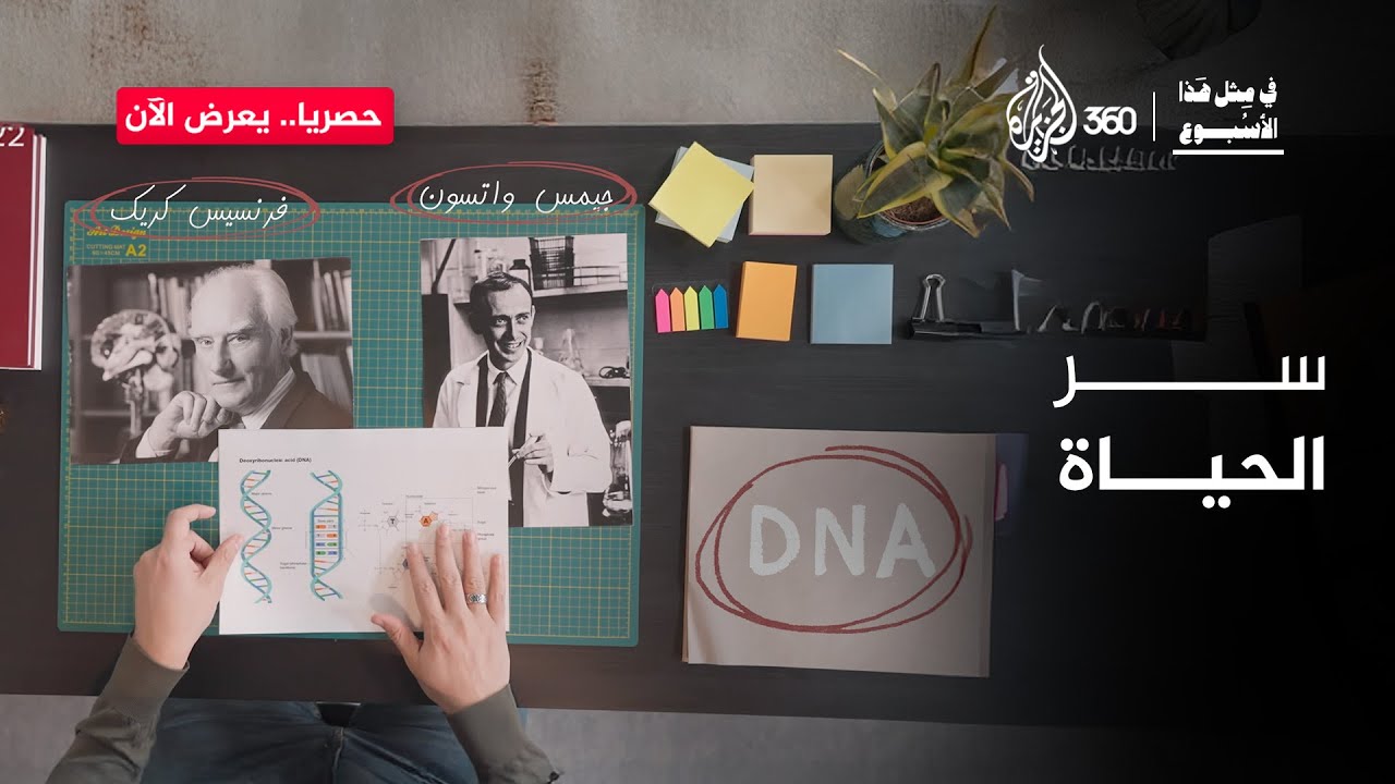 سر الحياة | في مثل الأسبوع