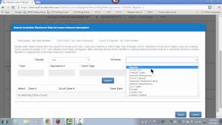 Florida Courts E-Filing Portal - Appellate - New Case - Case Info