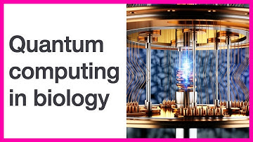 Quantum computing in biology: How it works, its possible applications, and the hype
