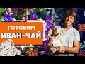Готовим Иван-чай и варенье из морошки. | Северный Байкал | Nord Baikal