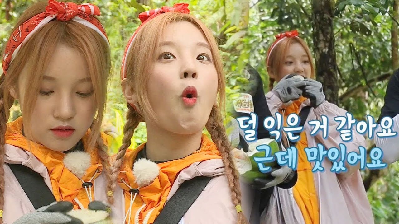 “맛있어요” 우기, 동남아 열매 포멜로 먹방 개시 @김병만의 정글의 법칙 380회 20190907