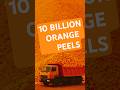 They dumped 12,000 tons of orange peels on dead land. 16 years later... 🤯 #Shorts