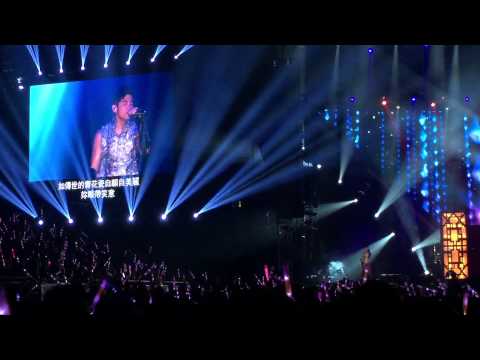 (Fancam)141120 青花瓷 周杰倫 Jay Chou