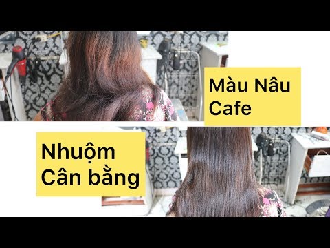 Nhuộm Cân Bằng Maù Nâu Cafe, Trên Nền Tóc 3 Khúc Màu | Hướng Dẫn Làm Tóc