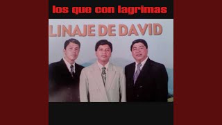 Video thumbnail of "Linaje de David - Bajo El Olivar"