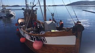 The famous sound of the cutter 'Tampen 1'