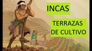CULTIVOS Mayas, Aztecas e Incas