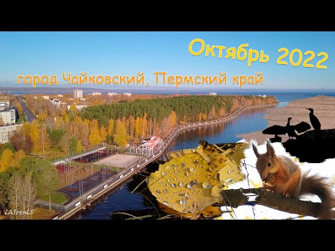 Осенний город Чайковский, Пермский край. Аэросъемка. Октябрь 2022