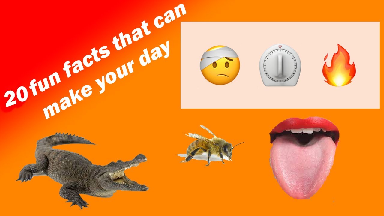 20 fun facts that can make you day 