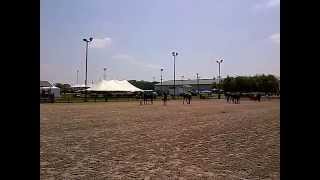 VID-20150507-00008