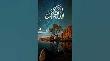 قران كريم تلاوة خاشعه #اكسبلور #القزابري #duet #دويتو #المصحف #تيك_توك #لايك #المشيشي #الرحمن