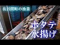 【ホタテ】ついに収穫！サロマ湖のホタテの水揚げ直後の驚きの姿……！？