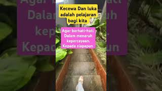 Download Lagu luka dan kecewa #vidioshort #luka #hati #kecewa #katakatabijak #katamotivasi#kepercayaan MP3