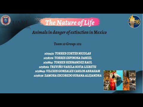 Equipo10 PIA LNdLV "Animals in danger of extinction in Mexico"