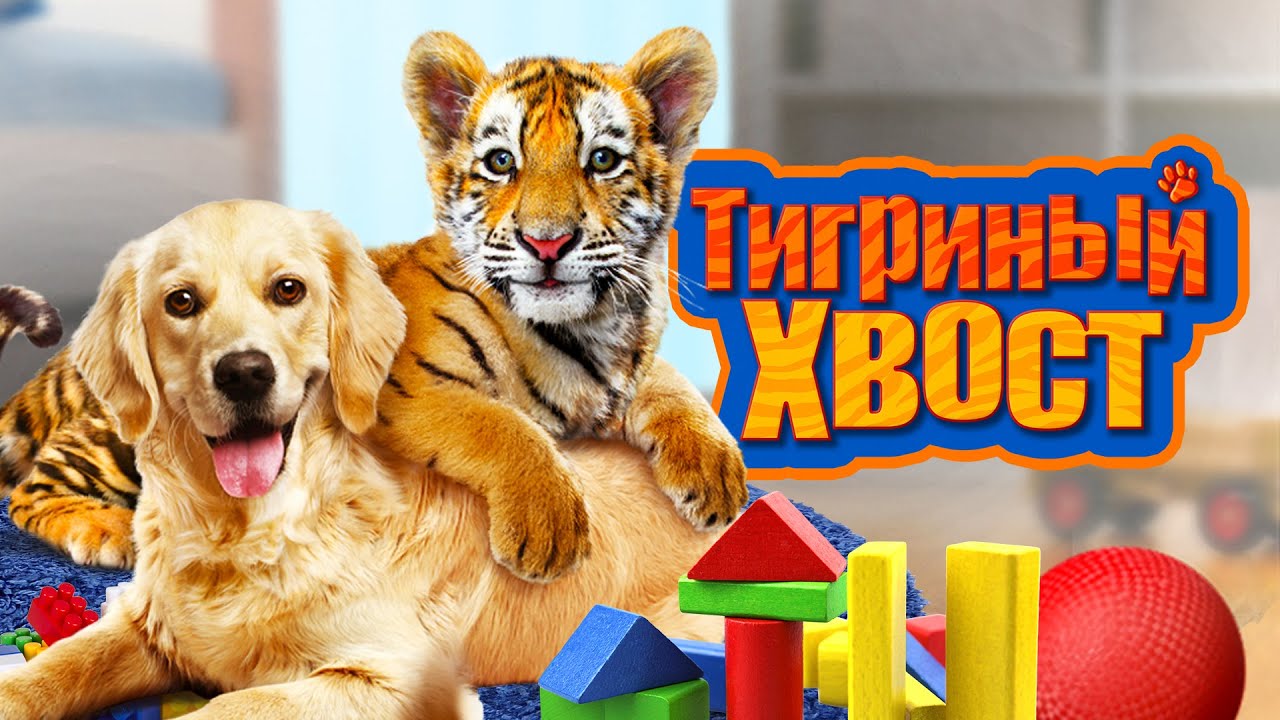 Мальчик нашёл тигрёнка в рюкзаке 🐯😊 ХОРОШЕЕ КИНО ДЛЯ ВСЕЙ СЕМЬИ🔥