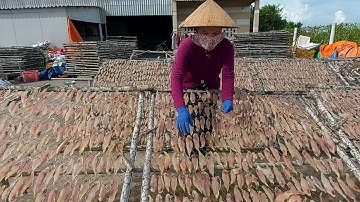 Về làng nghề cá khô, ruốc ở Vàm Láng-Gò Công Tiền Giang