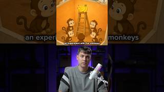 The FIVE MONKEYS Experiment