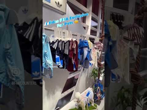 Beijing Adidas 北京市三叶草#travel #viral #fup #fyp #fypシ #fypage #fypreels #reel #reels #viral #adidas