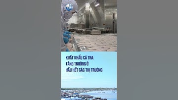 Xuất khẩu cá tra tăng trưởng ở hầu hết các thị trường