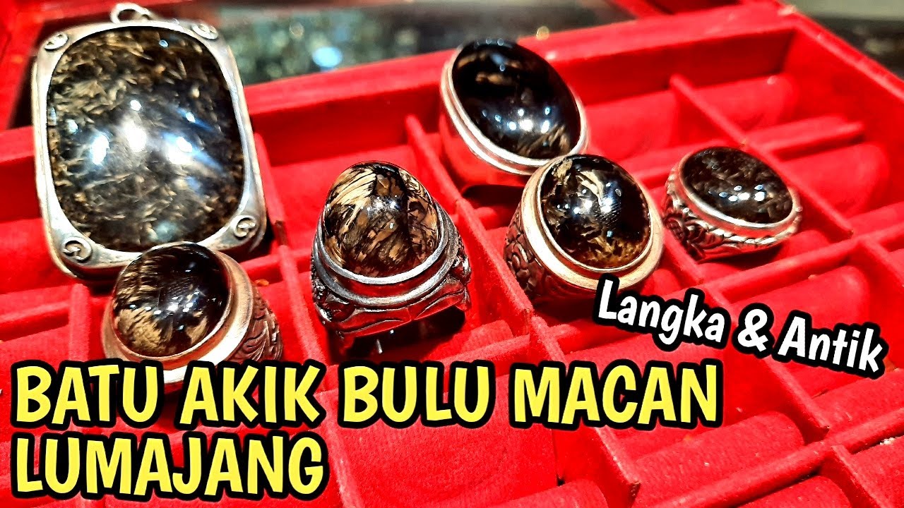 BATU AKIK BULU MACAN ASLI LUMAJANG - INDONESIA || ANTIK & LANGKA 