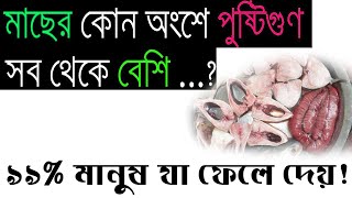 সুস্থ থাকতে মাছের কোন অংশটা বেশি খাবেন? কোন মাছ কখনোই খাবেন না