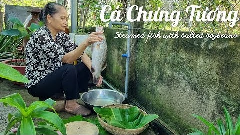 Cá Chẽm Chưng Tương - Công Thức Làm Nước Chấm Siêu Ngon Của Mẹ - Món Ngon Miền Tây | Vị Ngon Của Mẹ