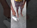 kitty Play #shorts #cat